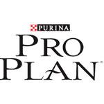 Pro Plan