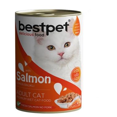 Bestpet - Bestpet Gravy Parça Somonlu Kedi Konservesi 400 Gr