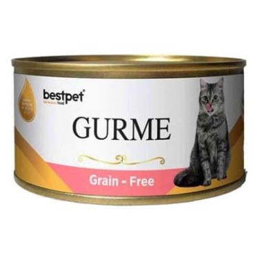 Bestpet - BestPet Gurme Jelly Tahılsız Somonlu Kısır Kedi Konservesi 100 Gr