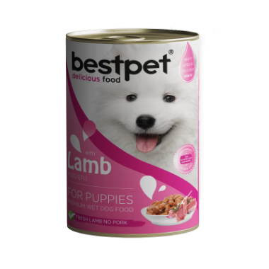 Bestpet - Bestpet Kuzu Etli Soslu Konserve Yavru Köpek Maması 12*400 Gr