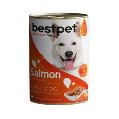 Bestpet - Bestpet Somonlu Soslu Konserve Köpek Maması 12*400 Gr