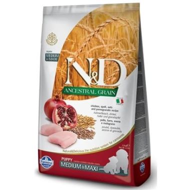 N&D - N&D Ancestral Grain Tavuk ve Nar Medium-Maxi Yavru Köpek Maması 12 Kg