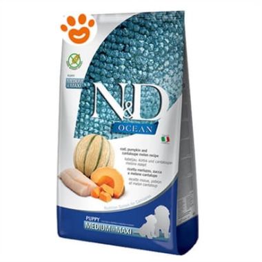 N&D - N&D Ocean Morina Balığı, Balkabağı ve Kavun Puppy Medium-Maxi Köpek Maması 12 Kg