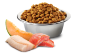 N&D Ocean Somon, Morina Balığı ve Kavun Adult Medium-Maxi Köpek Maması 12 Kg - Thumbnail
