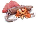 N&D Ocean Ton Balığı, Kalamar ve Karides Kedi Konservesi 24*70 Gr - Thumbnail