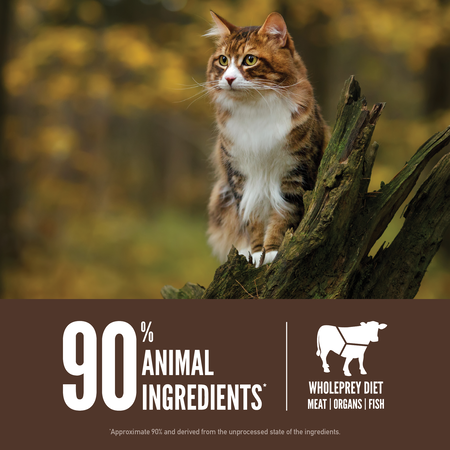 Orijen Regional Red Tahılsız Kuru Kedi Maması 5,4 Kg - Thumbnail