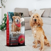 Prochoice Fit & Healty Adult Kuzu Etli ve Pirinçli Köpek Maması 3 Kg - Thumbnail