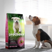 Prochoice Perfect Start Puppy Kuzu Etli ve Pirinçli Köpek Maması 3 Kg - Thumbnail