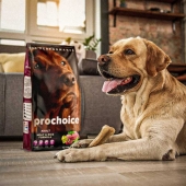 Prochoice Adult Et ve Pirinçli Köpek Maması 12 Kg - Thumbnail