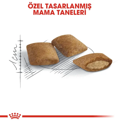 Royal Canin Ageing +12 Yaş Üzeri Kuru Kedi Maması 2 Kg - Thumbnail