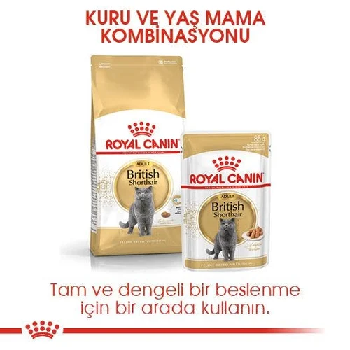 Royal Canin British Shorthair Kuru Kedi Maması 4 Kg - Thumbnail