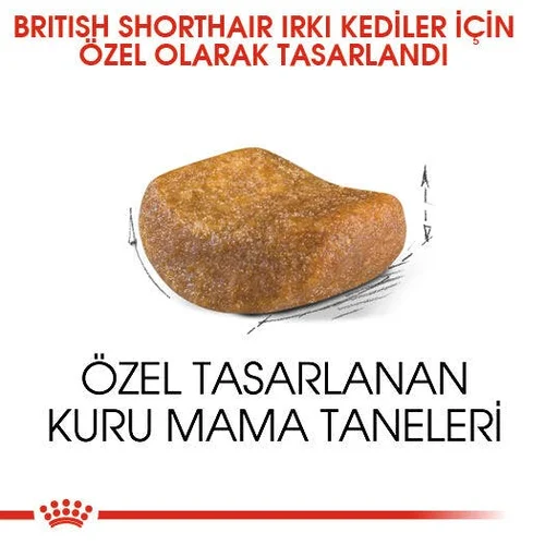 Royal Canin British Shorthair Kuru Kedi Maması 4 Kg - Thumbnail