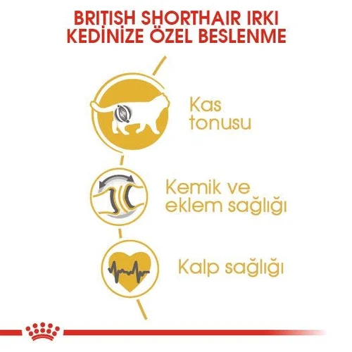 Royal Canin British Shorthair Kuru Kedi Maması 4 Kg - Thumbnail