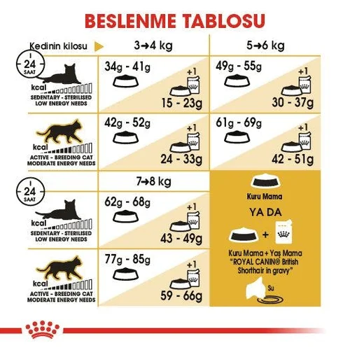 Royal Canin British Shorthair Kuru Kedi Maması 4 Kg - Thumbnail