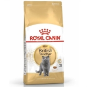 Royal Canin British Shorthair Kuru Kedi Maması 4 Kg - Thumbnail