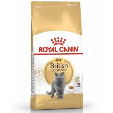 Royal Canin - Royal Canin British Shorthair Kuru Kedi Maması 4 Kg