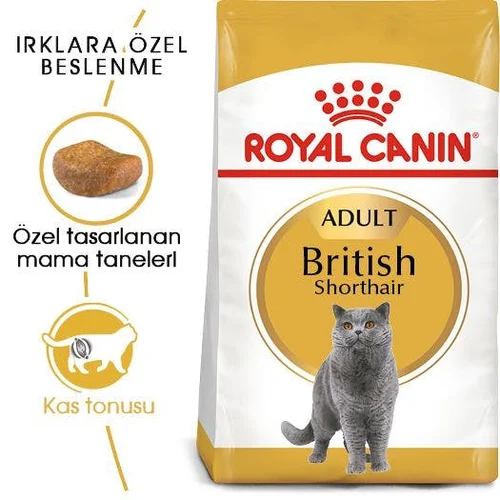 Royal Canin British Shorthair Kuru Kedi Maması 10 Kg - Thumbnail