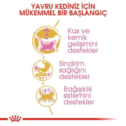 Royal Canin British Shorthair Yavru Kedi Maması 2 Kg - Thumbnail