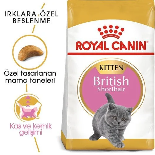 Royal Canin British Shorthair Yavru Kedi Maması 2 Kg - Thumbnail