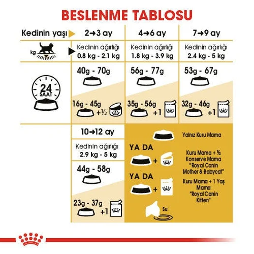 Royal Canin British Shorthair Yavru Kedi Maması 2 Kg - Thumbnail