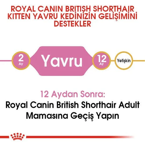 Royal Canin British Shorthair Yavru Kedi Maması 2 Kg - Thumbnail