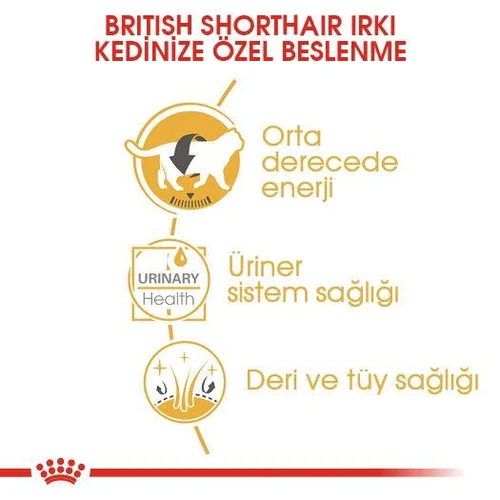 Royal Canin British Shorthair Yetişkin Kedi Pouch Yaş Mama 85 Gr - Thumbnail