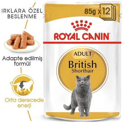 Royal Canin British Shorthair Yetişkin Kedi Pouch Yaş Mama 85 Gr - Thumbnail