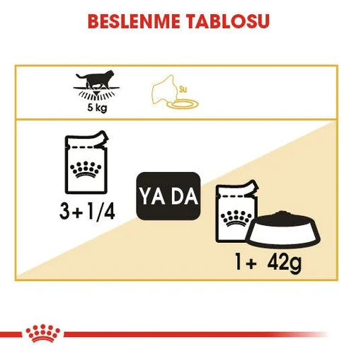 Royal Canin British Shorthair Yetişkin Kedi Pouch Yaş Mama 85 Gr - Thumbnail