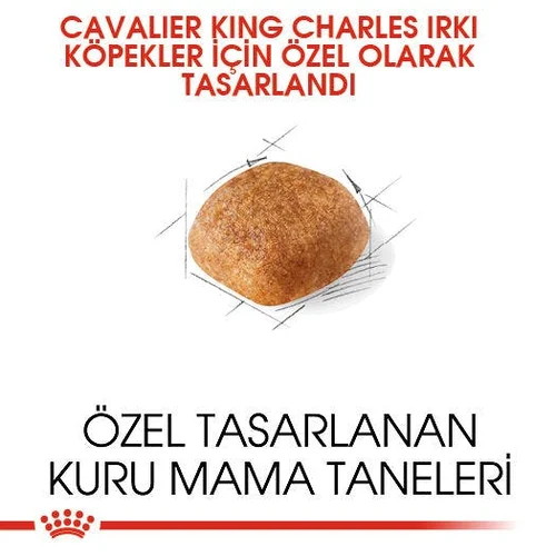 Royal Canin Cavalier King Charles Adult Kuru Köpek Maması 1,5 Kg - Thumbnail