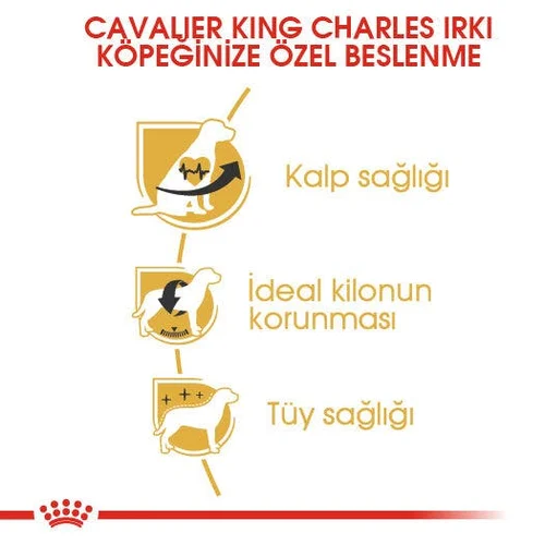 Royal Canin Cavalier King Charles Adult Kuru Köpek Maması 1,5 Kg - Thumbnail