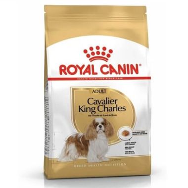 Royal Canin - Royal Canin Cavalier King Charles Adult Kuru Köpek Maması 3 Kg