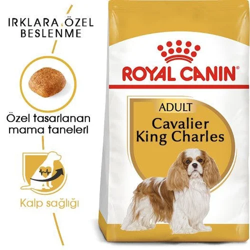 Royal Canin Cavalier King Charles Adult Kuru Köpek Maması 3 Kg - Thumbnail