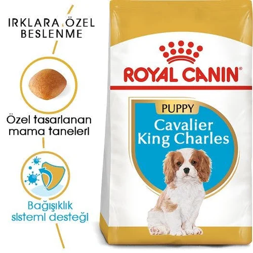 Royal Canin Cavalier King Charles Puppy Kuru Köpek Maması 1,5 Kg - Thumbnail