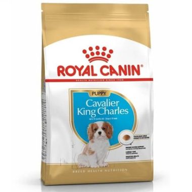 Royal Canin - Royal Canin Cavalier King Charles Puppy Kuru Köpek Maması 1,5 Kg
