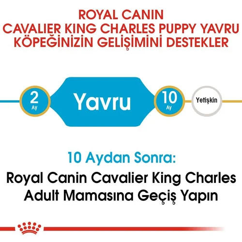 Royal Canin Cavalier King Charles Puppy Kuru Köpek Maması 1,5 Kg - Thumbnail
