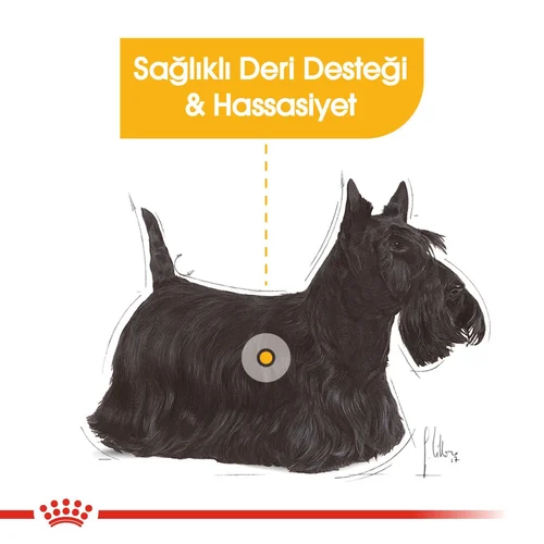 Royal Canin CCN Dermacomfort Pouch Köpek Yaş Mama 85 Gr - Thumbnail