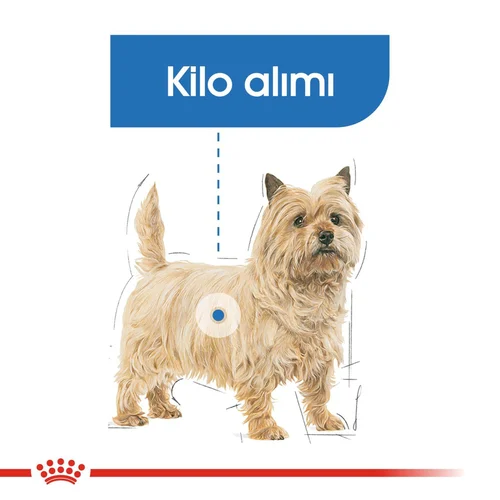 Royal Canin CCN Mini Light Weight Care Kuru Köpek Maması 3 kg - Thumbnail