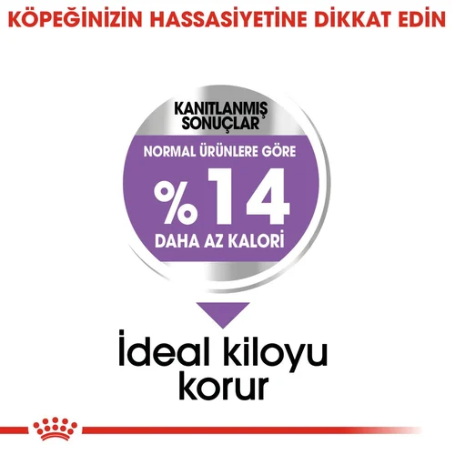 Royal Canin CCN Mini Sterilised Köpek Maması 3 Kg - Thumbnail