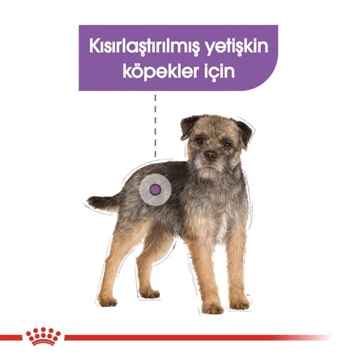 Royal Canin CCN Sterilised Köpek Yaş Mama 85 Gr - Thumbnail