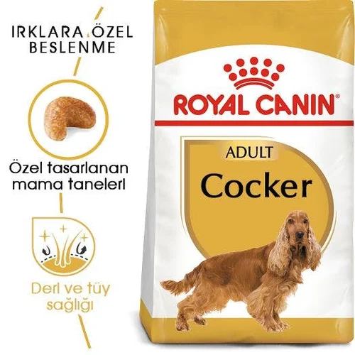 Royal Canin Cocker Adult Kuru Köpek Maması 3 Kg - Thumbnail