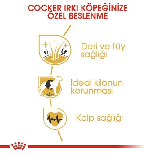 Royal Canin Cocker Adult Kuru Köpek Maması 3 Kg - Thumbnail