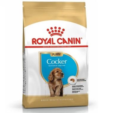 Royal Canin - Royal Canin Cocker Puppy Kuru Köpek Maması 3 Kg