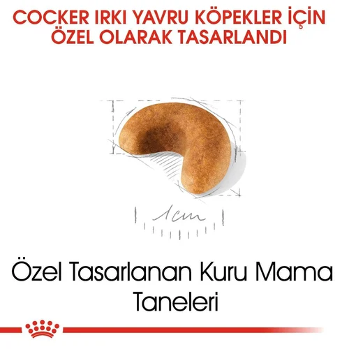 Royal Canin Cocker Puppy Kuru Köpek Maması 3 Kg - Thumbnail