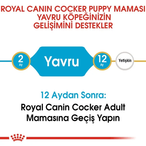 Royal Canin Cocker Puppy Kuru Köpek Maması 3 Kg - Thumbnail