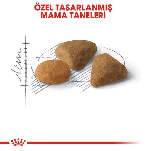 Royal Canin Savour Exigent Kuru Kedi Maması 400 Gr - Thumbnail