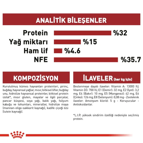 Royal Canin Fit 32 Kuru Kedi Maması 400 Gr - Thumbnail