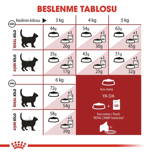 Royal Canin Fit 32 Kuru Kedi Maması 400 Gr - Thumbnail