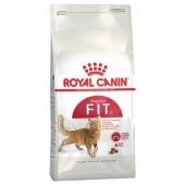 Royal Canin Fit 32 Kuru Kedi Maması 400 Gr - Thumbnail