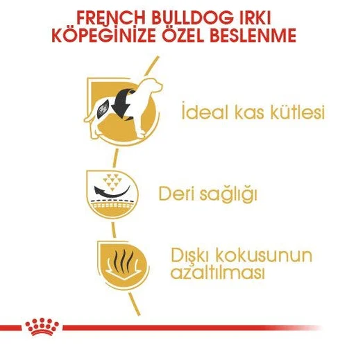 Royal Canin French Bulldog Adult Kuru Köpek Maması 3 Kg - Thumbnail