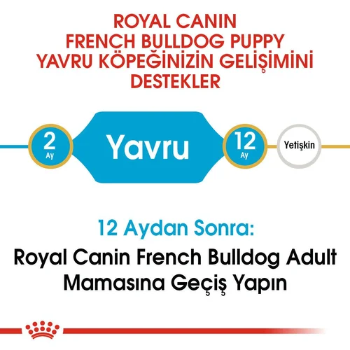 Royal Canin French Bulldog Puppy Kuru Köpek Maması 3 Kg - Thumbnail